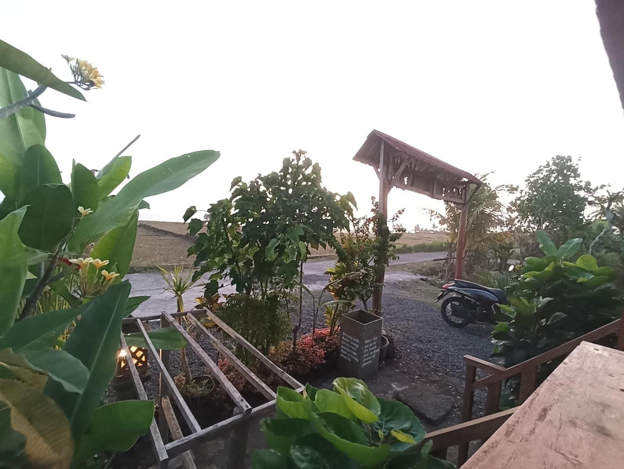 Апартаменты Ayolah Surf House &Surf Camp Jembrana  Экстерьер фото
